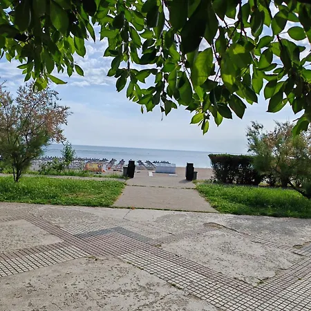 Sotis Faleza Nord Daire *